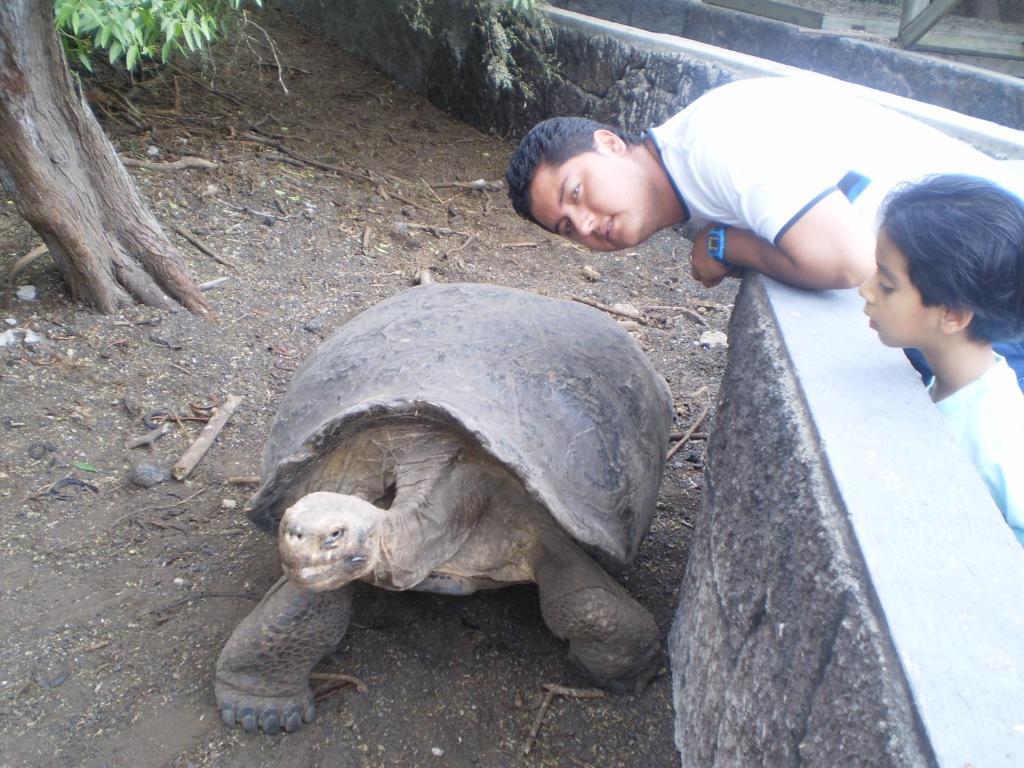 Hostal La Gran Tortuga Пуерто Виламил Екстериор снимка